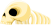 Skeleton